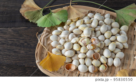 イチョウの葉と銀杏の種|銀杏の種を干す イチョウの葉と銀杏の種|銀杏の種を干す 95830550