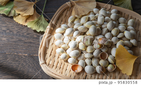 イチョウの葉と銀杏の種|銀杏の種を干す イチョウの葉と銀杏の種|銀杏の種を干す 95830558