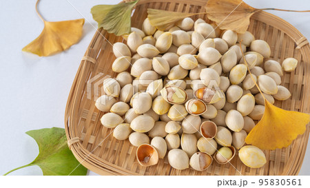 イチョウの葉と銀杏の種 95830561