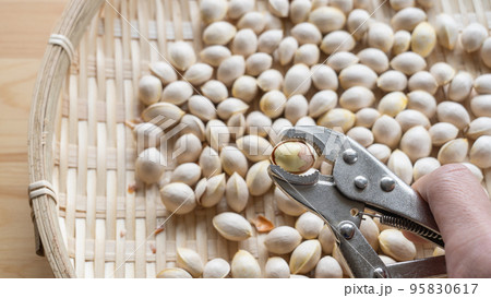 銀杏の殻を割る 銀杏の殻を割る 95830617