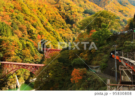 富山県黒部峡谷トロッコ列車風景 95830808