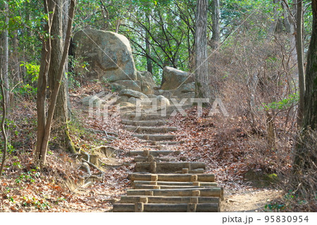 操山公園　明善寺城付近の遊歩道2　岡山県岡山市中区 95830954