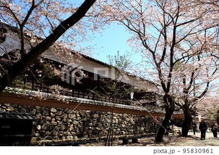 筑前の小京都「秋月」 満開の桜と新緑の緑に彩られた町並み 筑前の小京都「秋月」 満開の桜と新緑の緑に彩られた町並み 95830961