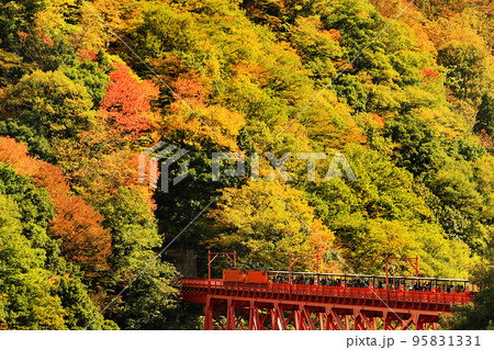 富山県黒部峡谷トロッコ列車風景 95831331