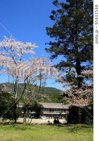 筑前の小京都「秋月」 満開の桜と新緑の緑に彩られた町並み 筑前の小京都「秋月」 満開の桜と新緑の緑に彩られた町並み 95831588