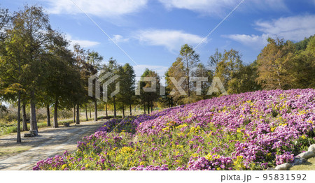 自然 風景 景色 95831592