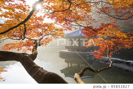 自然 風景 オファジョン 95831627