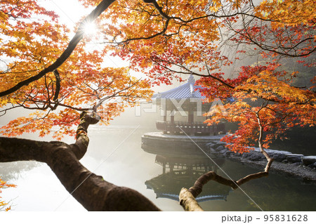 自然 風景 オファジョン 95831628