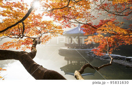 自然 風景 オファジョン 95831630