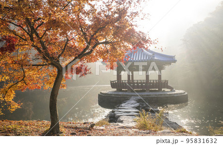 自然 風景 オファジョン 95831632