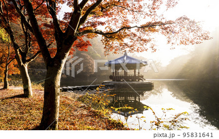自然 風景 オファジョン 95831641