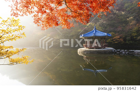 自然 風景 オファジョン 95831642