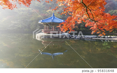自然 風景 オファジョン 95831648