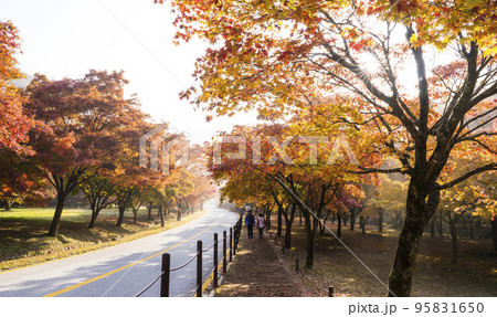 自然 風景 ダンプンギル 95831650