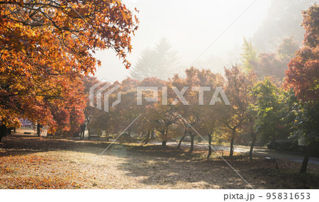 自然 風景 ダンプンギル 95831653