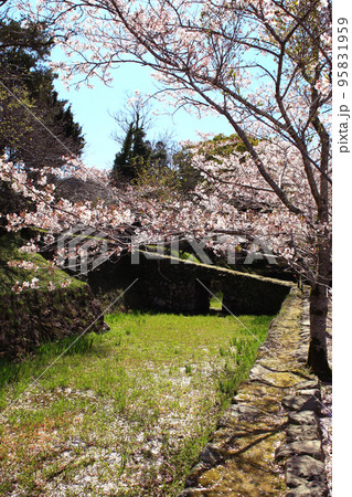 筑前の小京都「秋月」 満開の桜と新緑の緑に彩られた町並み 筑前の小京都「秋月」 満開の桜と新緑の緑に彩られた町並み 95831959