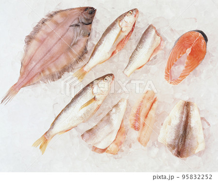 Fish on ice Fish on ice 95832252