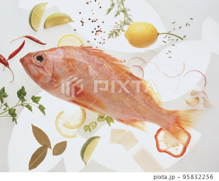 Fresh Beryx 95832256