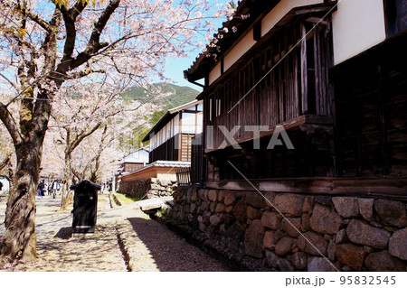 筑前の小京都「秋月」 満開の桜と新緑の緑に彩られた町並み 筑前の小京都「秋月」 満開の桜と新緑の緑に彩られた町並み 95832545