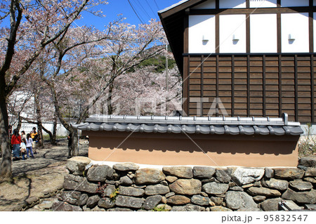 筑前の小京都「秋月」　満開の桜と新緑の緑に彩られた町並み 95832547