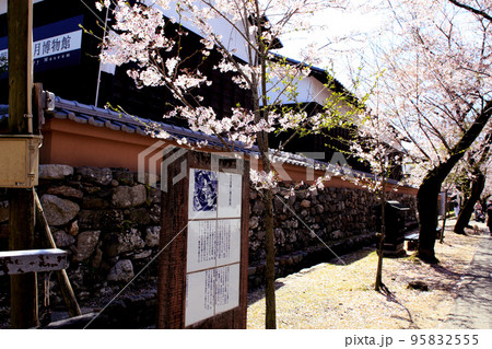 筑前の小京都「秋月」 満開の桜と新緑の緑に彩られた町並み 筑前の小京都「秋月」 満開の桜と新緑の緑に彩られた町並み 95832555