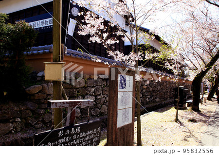 筑前の小京都「秋月」 満開の桜と新緑の緑に彩られた町並み 筑前の小京都「秋月」 満開の桜と新緑の緑に彩られた町並み 95832556