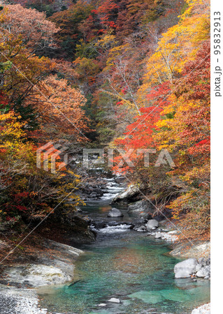 北海道白老町、紅葉した木々の間を流れる白老川【10月】 北海道白老町、紅葉した木々の間を流れる白老川【10月】 95832913