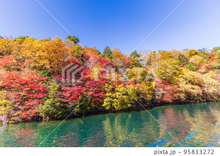 (栃木県)奥日光・中禅寺湖遊覧船から見る紅葉 (栃木県)奥日光・中禅寺湖遊覧船から見る紅葉 95833272