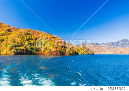 （栃木県）奥日光・中禅寺湖遊覧船から見る紅葉 95833302