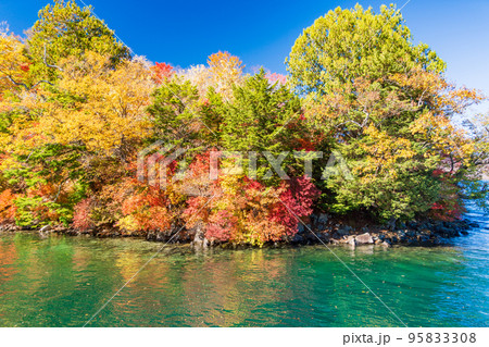 （栃木県）奥日光・中禅寺湖遊覧船から見る紅葉 95833308