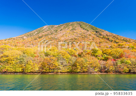 (栃木県)奥日光・中禅寺湖遊覧船から見る男体山 紅葉 (栃木県)奥日光・中禅寺湖遊覧船から見る男体山 紅葉 95833635