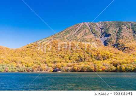 (栃木県)奥日光・中禅寺湖遊覧船から見る男体山 紅葉 (栃木県)奥日光・中禅寺湖遊覧船から見る男体山 紅葉 95833641