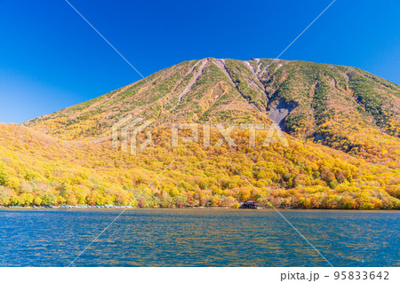 （栃木県）奥日光・中禅寺湖遊覧船から見る男体山　紅葉 95833642