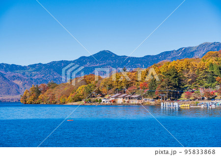 (栃木県)奥日光・中禅寺湖遊覧船から見る、湖畔の紅葉 (栃木県)奥日光・中禅寺湖遊覧船から見る、湖畔の紅葉 95833868