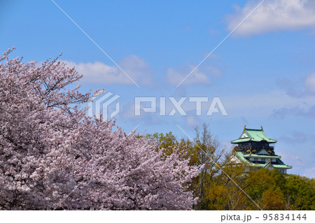 春　大阪城公園 95834144