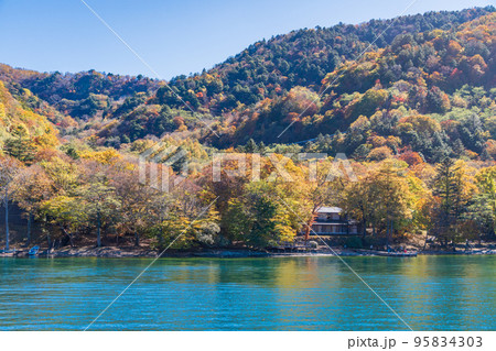 （栃木県）奥日光・中禅寺湖遊覧船から見る紅葉 95834303
