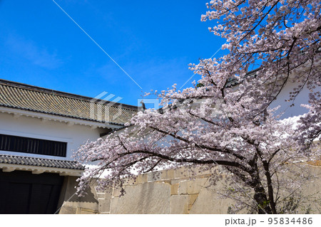 桜景　大阪城　大手門 95834486