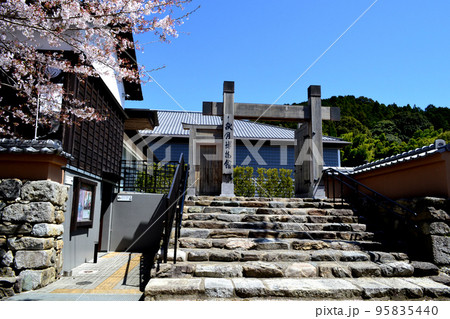 筑前の小京都「秋月」 満開の桜と新緑の緑に彩られた町並み 筑前の小京都「秋月」 満開の桜と新緑の緑に彩られた町並み 95835440