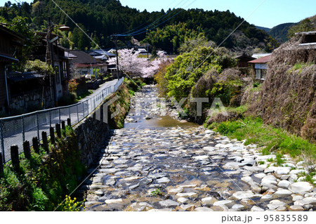 筑前の小京都「秋月」 満開の桜と新緑の緑に彩られた町並み 筑前の小京都「秋月」 満開の桜と新緑の緑に彩られた町並み 95835589