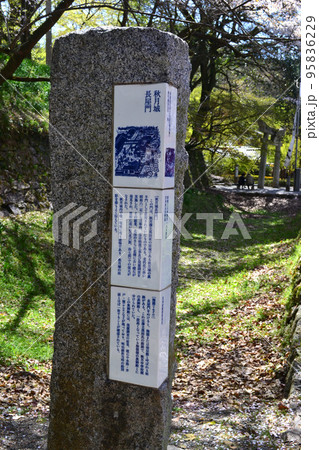 筑前の小京都「秋月」 満開の桜と新緑の緑に彩られた町並み 筑前の小京都「秋月」 満開の桜と新緑の緑に彩られた町並み 95836229