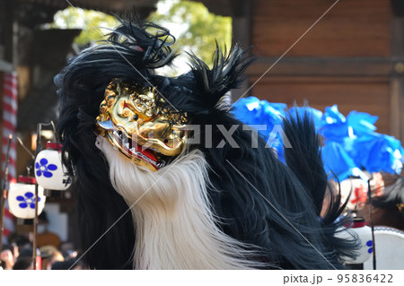 姫路・播州の秋祭り 大塩天満宮の毛獅子の道中の写真素材 [95836422