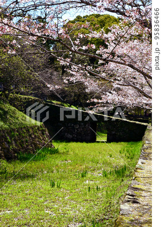 筑前の小京都「秋月」 満開の桜と新緑の緑に彩られた町並み 筑前の小京都「秋月」 満開の桜と新緑の緑に彩られた町並み 95836466