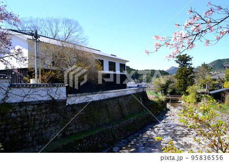 筑前の小京都「秋月」 満開の桜と新緑の緑に彩られた町並み 筑前の小京都「秋月」 満開の桜と新緑の緑に彩られた町並み 95836556