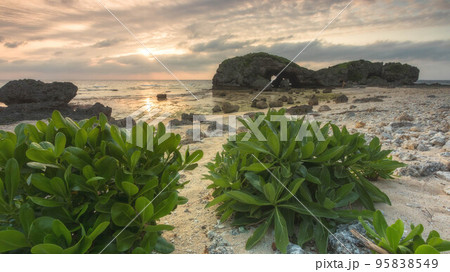 沖縄県 アポガマ 95838549