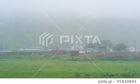 rural landscape with vegetable gardens and barns in thick fog 95839893