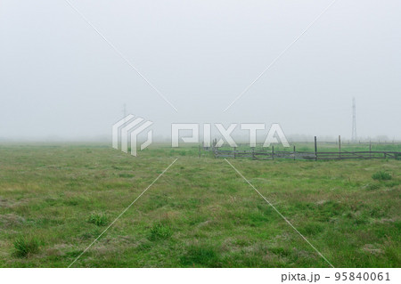 rural landscape, cattle paddock on a foggy pasture rural landscape, cattle paddock on a foggy pasture 95840061