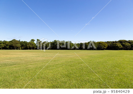芝生の広場と青空 95840429