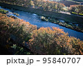 2022水辺の秋 95840707