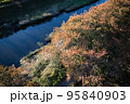 2022水辺の秋 95840903