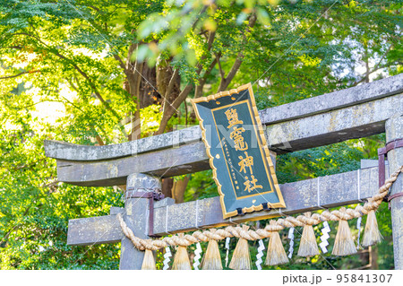 塩釜神社 鳥居 しめ縄 塩釜神社 鳥居 しめ縄 95841307